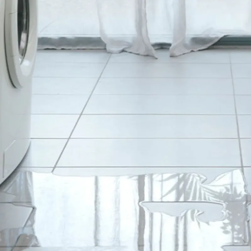 Appliance Leak Cleanup in Mentone, TX