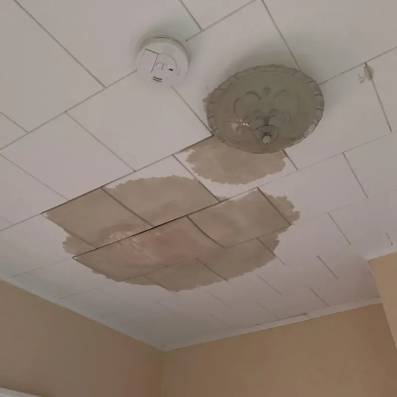Ceiling Water Damage Repair in Mentone, TX