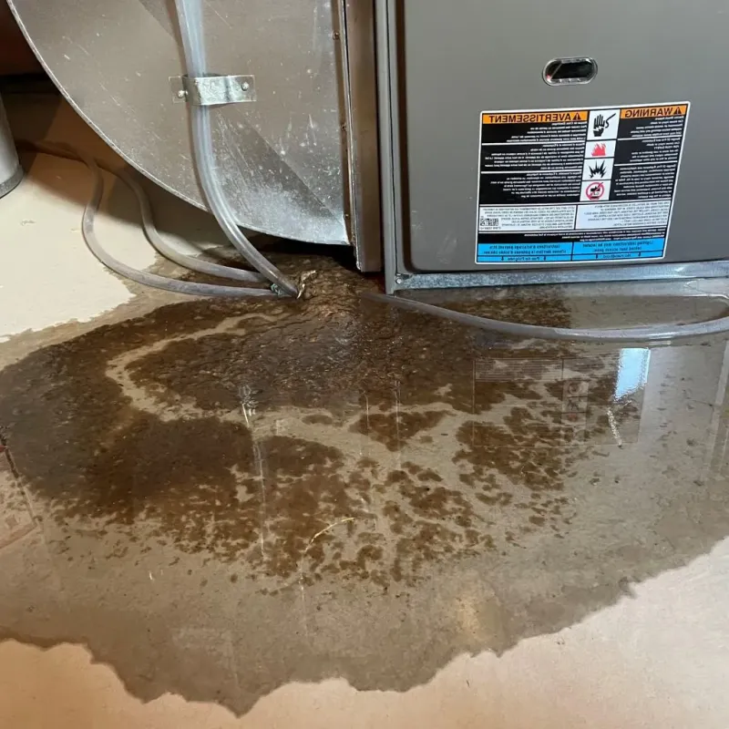 Pipe Burst and Leak Restoration in Mentone, TX